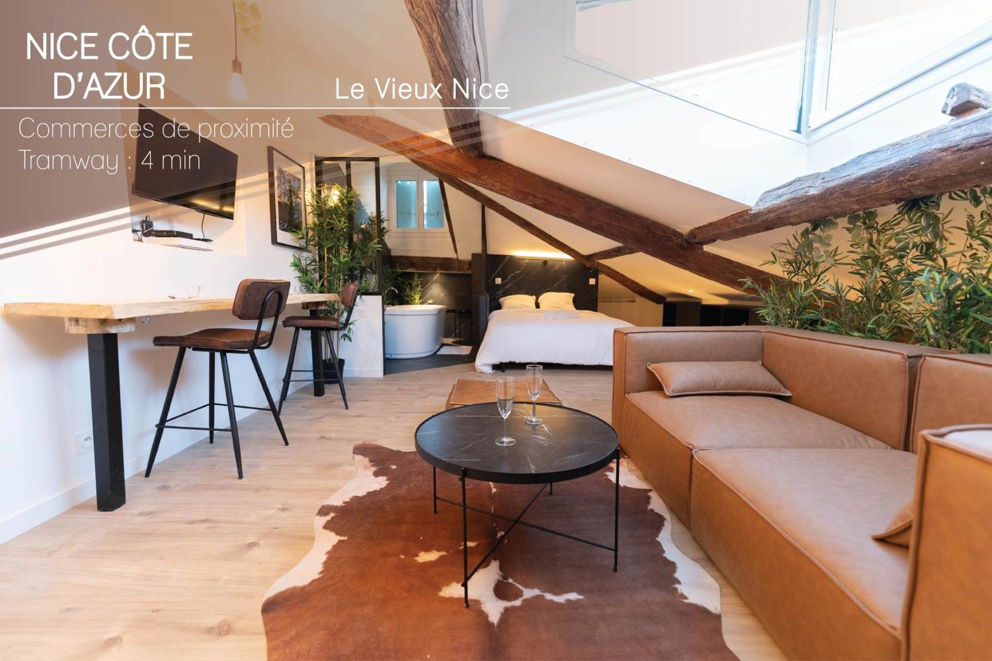 Appartamento Superbe Loft - Vieux - Balneo Nizza