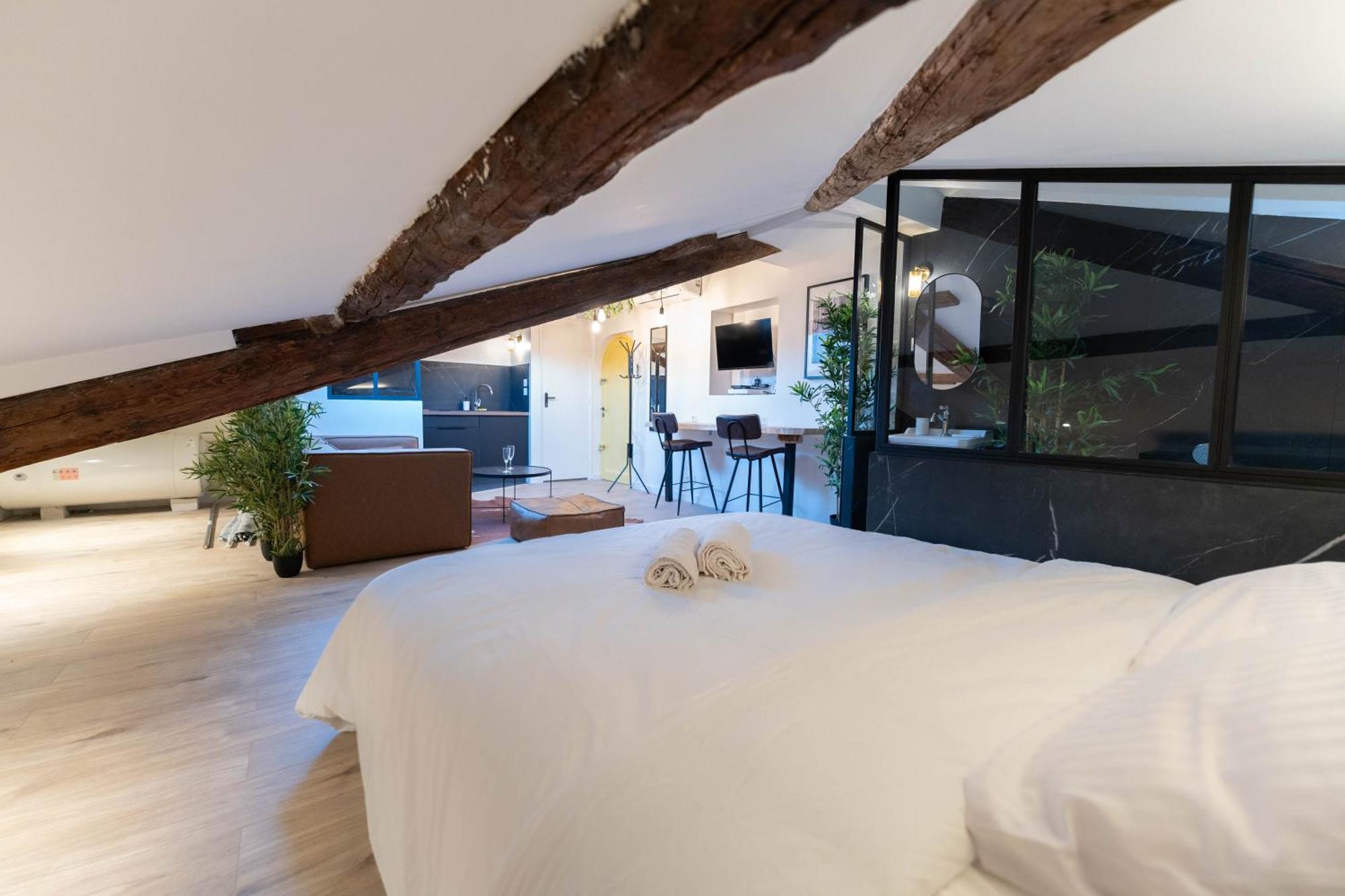 Appartamento Superbe Loft - Vieux - Balneo
